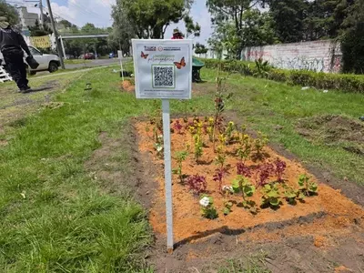 La Transformación Urbana a Través de Jardines Polinizadores: Un Compromiso con la Biodiversidad