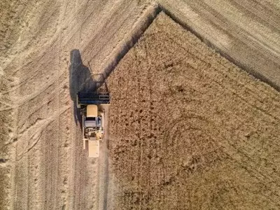 La agricultura regenerativa en Europa: beneficios económicos y ambientales dependientes del contexto