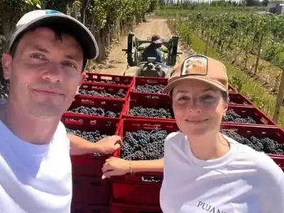 Renacimiento vitivinícola: Argentina recupera viñedos patagónicos para vinos premium