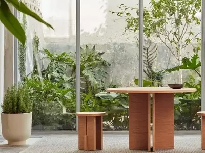 Optimización de la Luz Solar para Plantas de Interior a lo Largo de las Estaciones