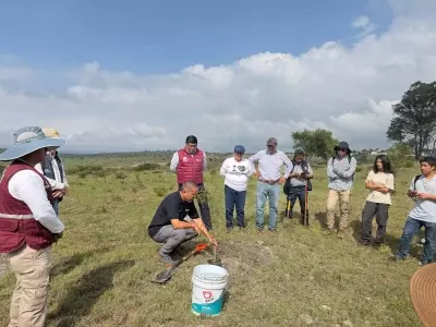 Puebla Refuerza su Compromiso Ambiental con Estrategia Masiva de Reforestación Urbana