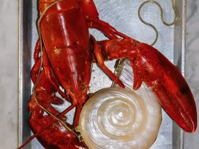 The Enduring Allure of Seashell Accessories in Fashion