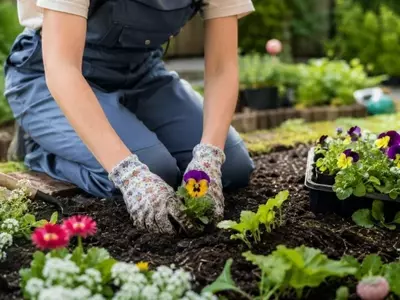 Cursos Gratuitos de Jardinería en Cádiz Impulsan Empleo Verde