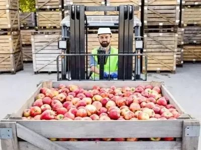 Panorama Agrícola Chileno: Impulsores de Exportación y Dinámicas de Cultivo