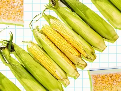 Maximizing Sweetness: The Ultimate Guide to Storing Your Corn