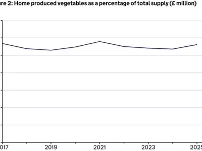 El Futuro Dinámico de la Horticultura en el Sur de Europa: Adaptación y Desafíos