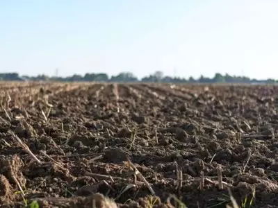 Descubrimiento de Fósforo Oculto en Suelos Agrícolas