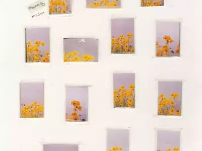 Nico Perez's 'Everything Is Nothing and Nothing Is Everything': A Photographic Journey of Connection and Truth