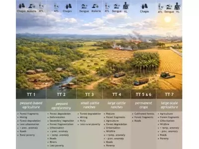 Uso del Suelo y Enfermedades Transmitidas por Insectos en la Amazonía Brasileña