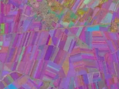 Revolución Agrícola: La IA Satelital Brinda Visibilidad a Pequeñas Parcelas