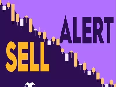 Delek Director's Stock Sale: A Signal for Investors?