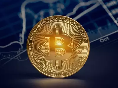 The Resilient Rise of Bitcoin: A Premier Cryptocurrency Choice