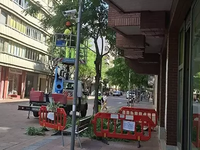 Controversia en León por la Poda de Árboles en Plena Ola de Calor