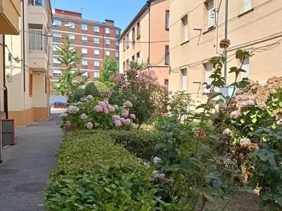 Embellecimiento Urbano: Renovación de Zonas Verdes en Ponferrada