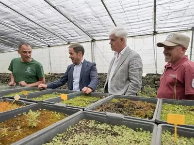 El Hierro: Un Refugio de Biodiversidad Vegetal frente al Cambio Climático