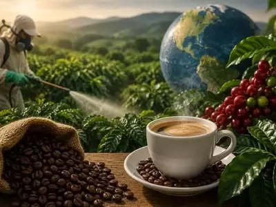 Plaguicidas Prohibidos en la UE Reavivan el Debate del Café Importado