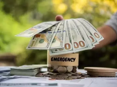 Personal Loans in New Zealand: Understanding Your Borrowing Options