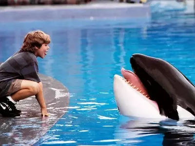 Warner Bros. Developing "Free Willy" Reboot with AGBO Producing