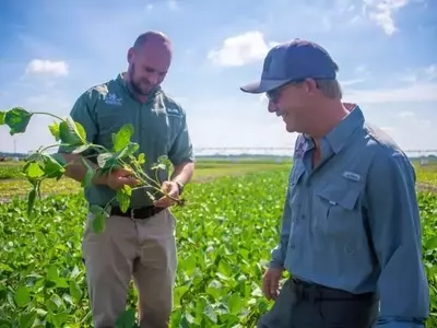 Innovaciones Agrícolas para un Riego Eficiente y Mayor Productividad