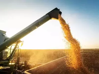 Los agricultores de EE. UU. enfrentan costos de insumos más altos que sus contrapartes brasileñas