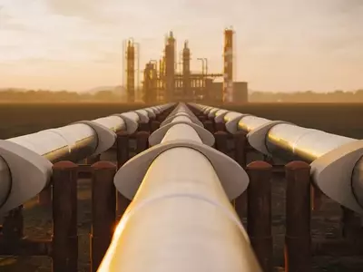 Enterprise Products Partners: A Resilient Energy Dividend Play