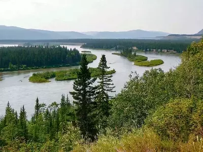 Bosques Primarios: La Clave Ignorada en la Lucha Contra el Cambio Climático