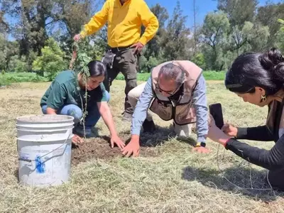 La Gran Muralla Verde: Un Experimento Forestal Chino de Impacto Mundial