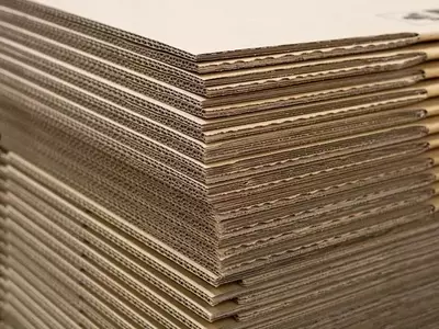 Valmet Secures Significant Board Production Line Order from Sun Paper in China