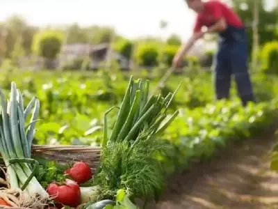 Cultivo en Asociación: Optimizando tu Jardín Orgánico