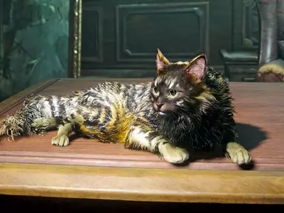 Acquiring Companions in Assassin's Creed Black Flag Resynced