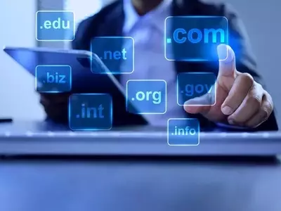 VeriSign: A Stable Monopoly with Limited Upside at Current Valuation