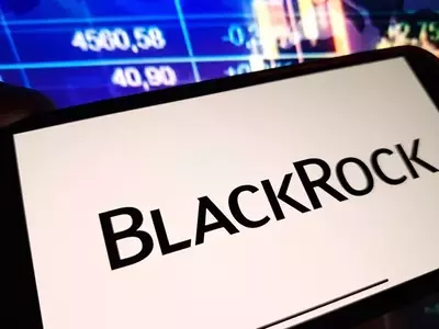 BlackRock's Crypto Assets Witness Significant Q2 Decline