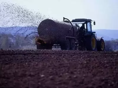 El Debate Español sobre el Estiércol como Alternativa a los Fertilizantes Sintéticos en la Agricultura