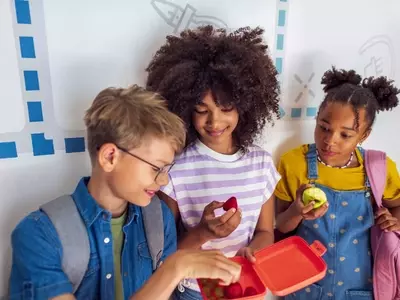 Navigating the Social Dynamics of School Lunchrooms