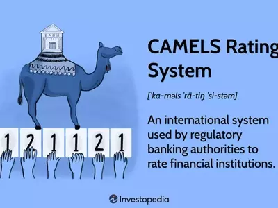Understanding the CAMELS Rating System in Finance
