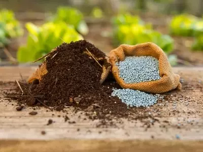 Mosaic Company's Promising Outlook Amidst Market Pessimism