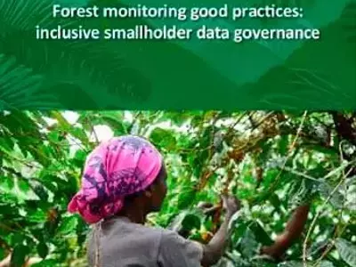 Gobernanza de Datos Forestales: Un Enfoque Inclusivo para Pequeños Productores