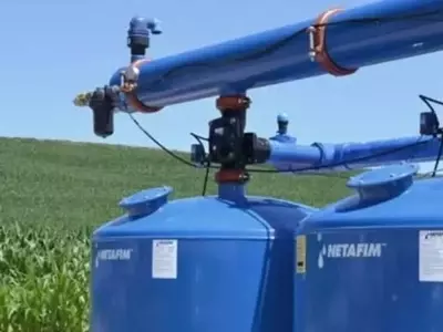 El Riego por Goteo: Transformando la Productividad Agrícola y Generando Altos Retornos