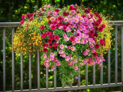 Secretos para un Jardín Florecido Todo el Año