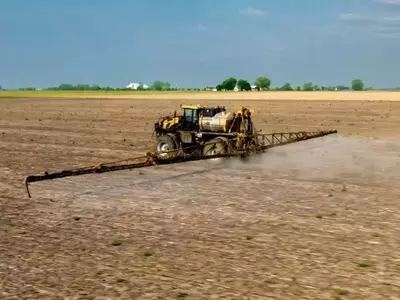 El Impacto Económico de Prohibir el Glifosato en la Agricultura de Illinois