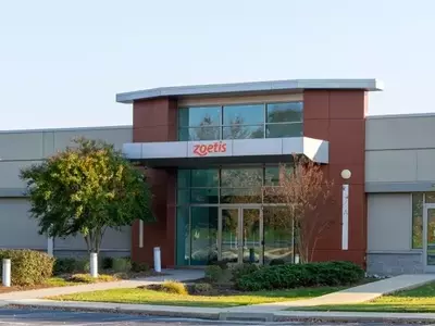 Zoetis: A Promising Investment in Animal Healthcare