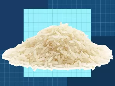 The Comprehensive Guide to Basmati Rice: Cultivation, Selection, and Culinary Applications
