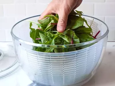 The Ultimate Guide to Salad Spinners: Reviews and Top Picks