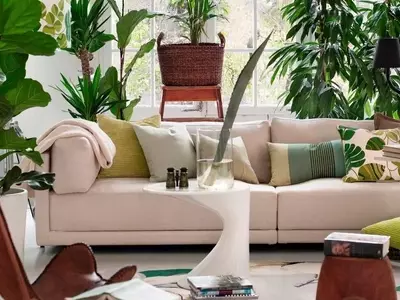 Plantas de Interior Resilientes: Guía para Principiantes y Viajeros