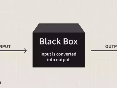 Understanding Black Box Models in Finance and Technology