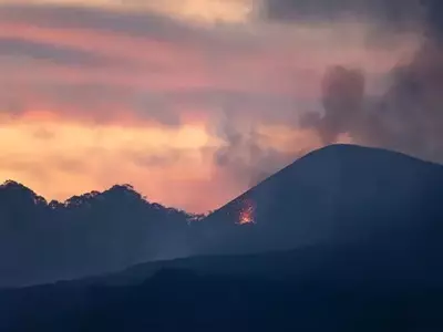 Hawaiian Electric: From Risk to Recovery