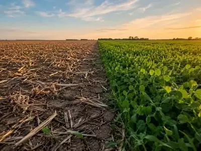 El Barbecho Largo: Un Vistazo Crítico a la Gestión del Agua en la Agricultura Moderna