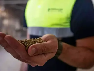 España impulsa ayudas para fertilizantes: entre el apoyo agrario y la crítica ecologista