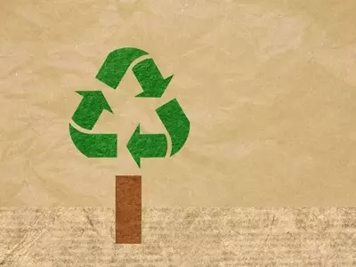 Waste Management: A Steady Performer in a Volatile Market