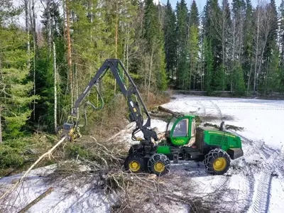 Gestión Forestal Sostenible en Canadá: Un Compromiso con el Futuro Ambiental
